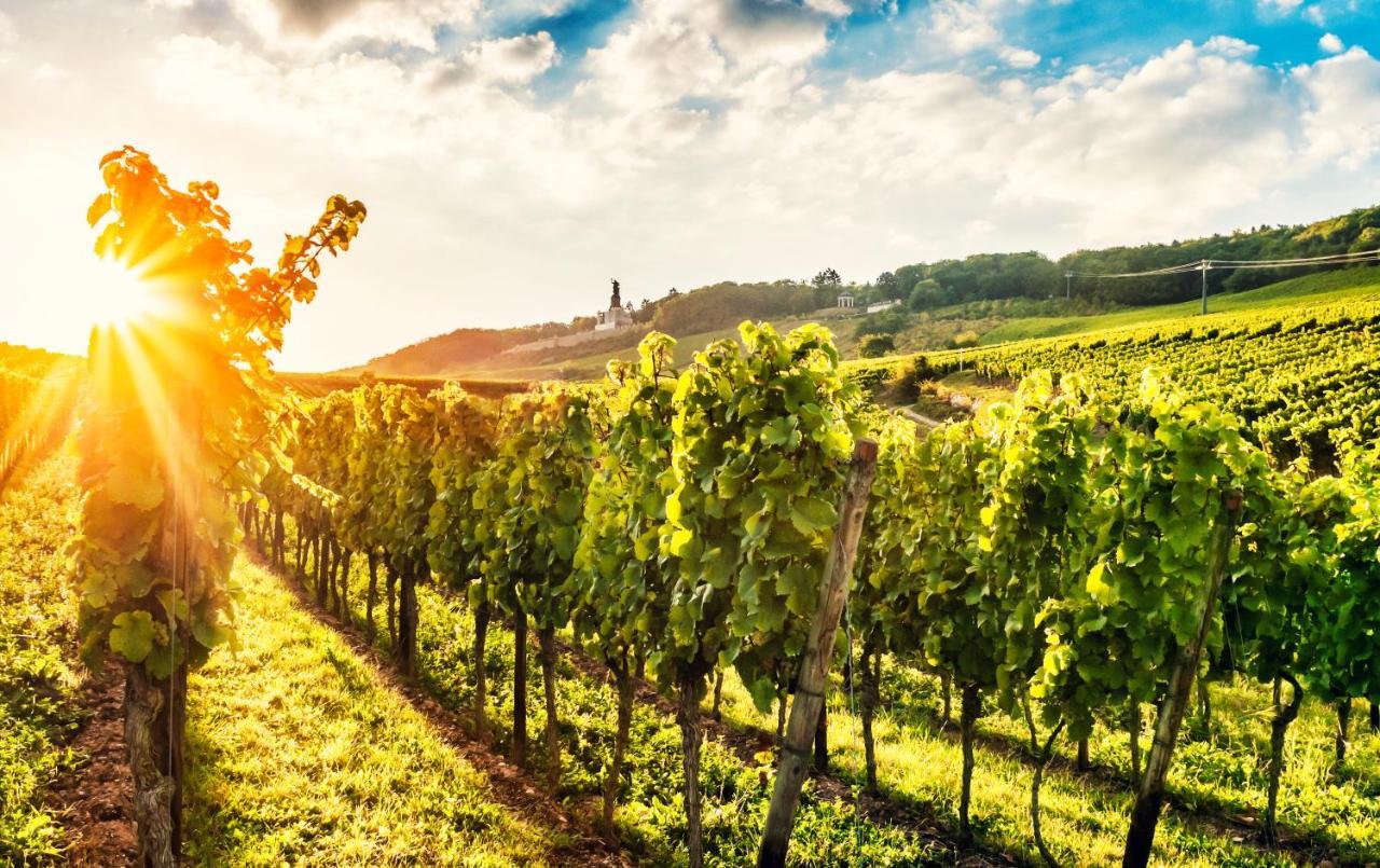 Fewo Zum Malerwinkel - Ruedesheim Rüdesheim am Rhein Eksteriør bilde