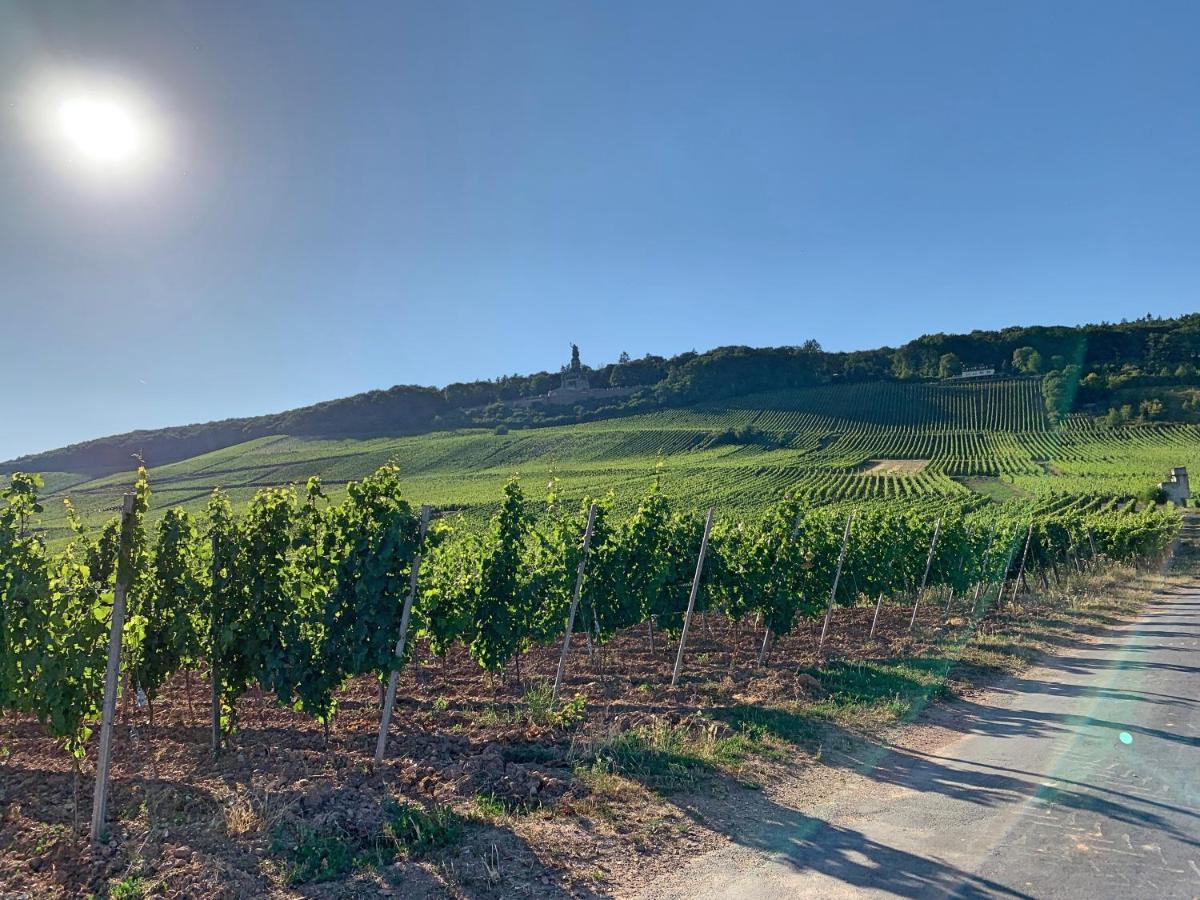 Fewo Zum Malerwinkel - Ruedesheim Rüdesheim am Rhein Eksteriør bilde